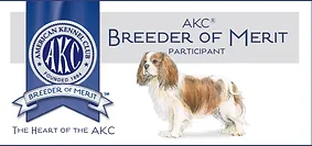 cavalier specialty club breeders