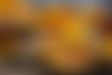 A chegada do outono, a melhor época do ano