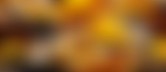 Amar en Toda la Extensión de la Palabra