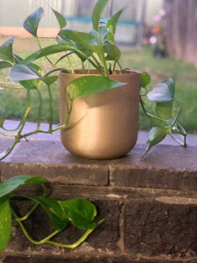 Brass Finish Vase | Decor piece | Home Decor