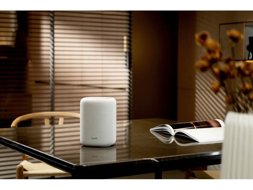 Thumbnail: Wiim SOUND LITE Speaker