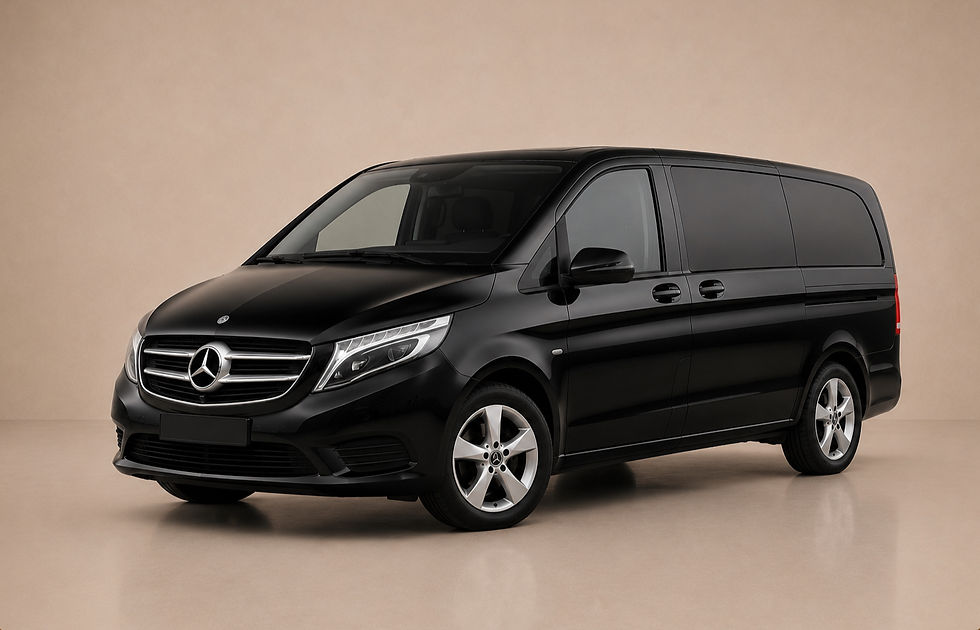 Luxusní minivan s profesionálním řidičem