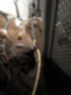 NJM-GAS-42.jpg