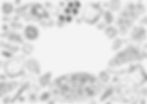 Nonna Bellas Background Pattern 2_edited_edited.jpg