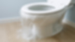 Water Clog NJM.jpeg