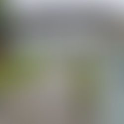 ÖBS-Herbstfachtagung 2025