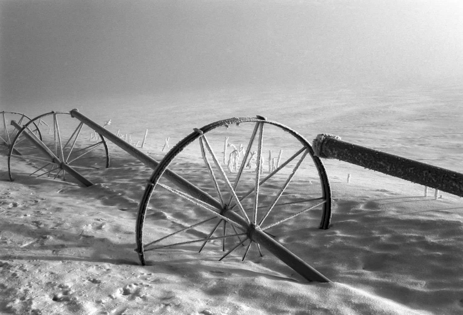 Irrigation Wheels #1