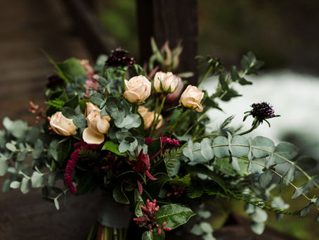 Welcome to Bella Bloom's Blog!