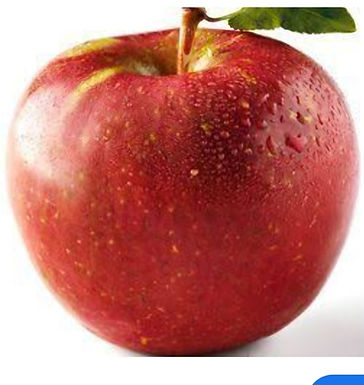 Royal Gala Apple tree