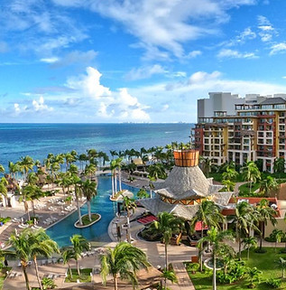 Villa del Palmar.jpg