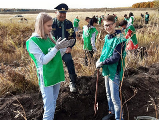 Альметьевцы активно принимают участие в природоохранной акции «Сохраним лес – 2020»