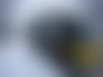 When is the best time to order firewood? — Avoid Fall Rush & Plan Ahead.