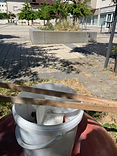 IMG_4567.jpeg