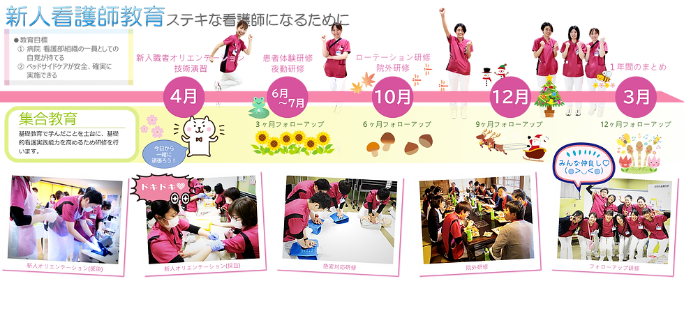 新人看護師教育.png