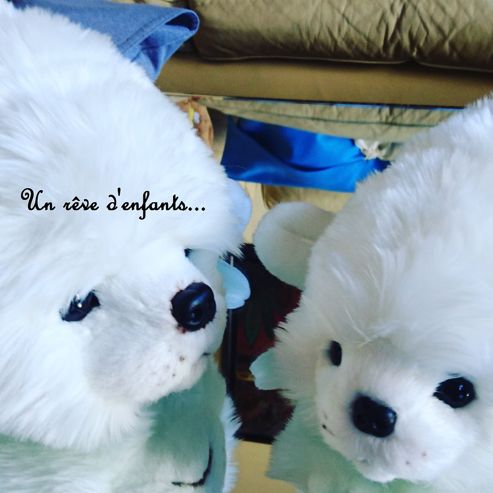 un rêve d'enfants, la pelucherie, peluche enfants