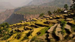 Market Opportunity to Nepal