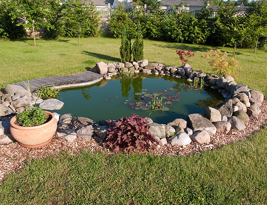 Garden Pond