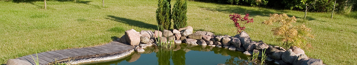 Backyard Garden Pond