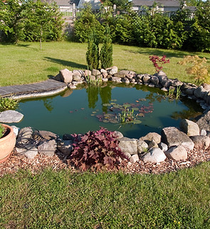 Backyard Garden Pond