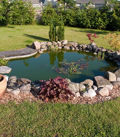 Garden Pond