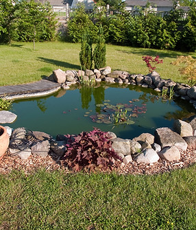Garden Pond
