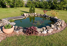 Garden Pond