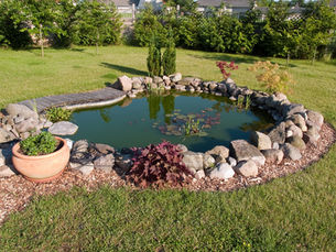 Top 10 Mistakes Homeowners Make When Doing Their Own Landscaping
