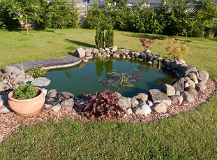 An amazing  garden pond in a fabulous garden