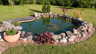 Ponds & Water features