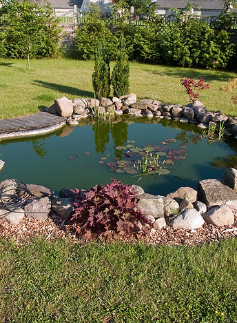 étang jardin