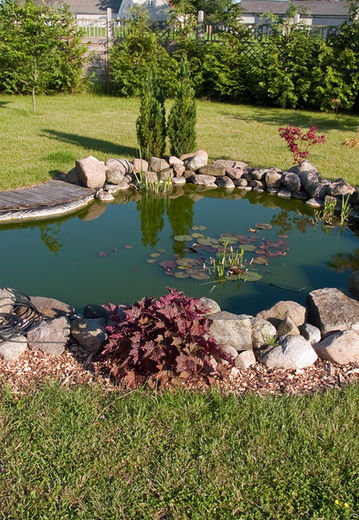 Natuurlijke vijver met natuurlijke beplanting
