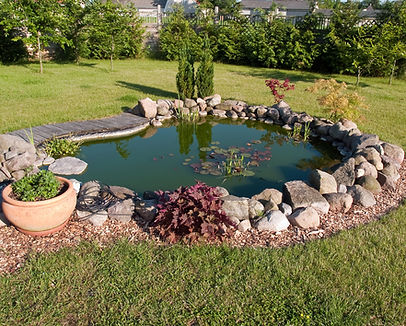 Garden Pond
