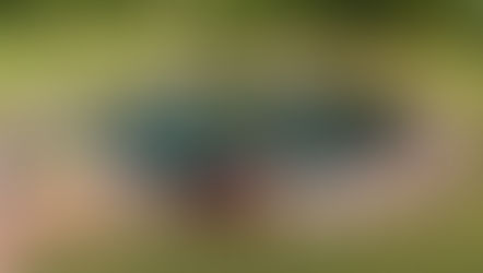 タカハトゲームと混合戦略に見る意思決定