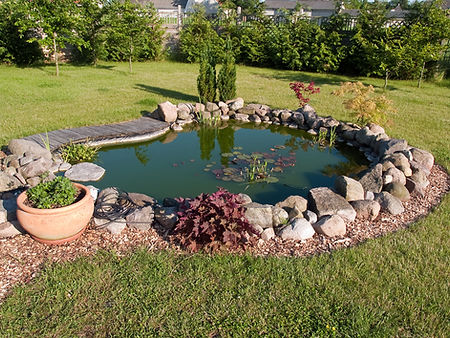 Garden Pond