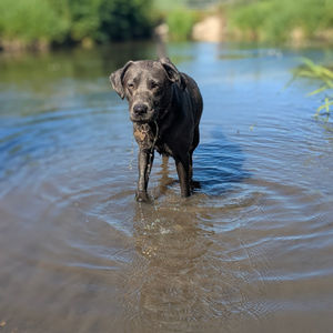 Maggie