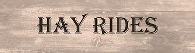 Hay Rides_edited_edited.jpg
