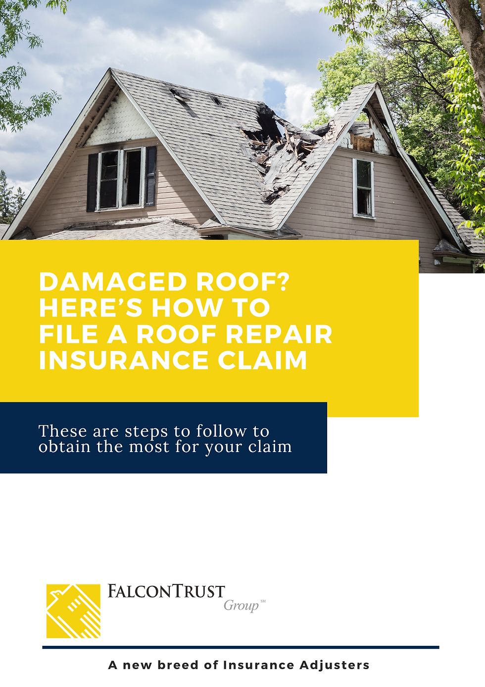 FalconTrust - Roof Guide