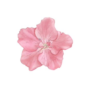 logo flou _edited.png