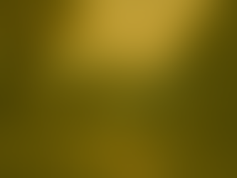 Investimentos: O Encontro entre Céu e Terra