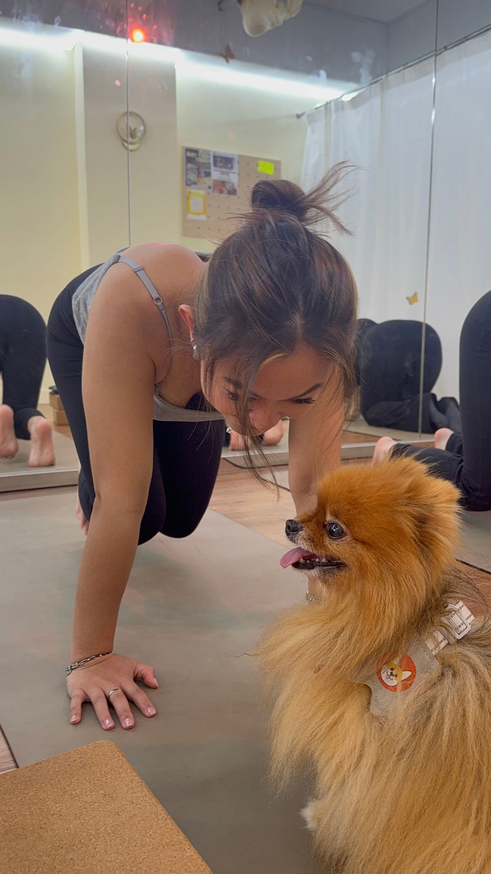 Dog yoga in Hong Kong sharing love and happiness