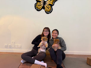 Happiness Therapy in Dog Yoga 狗瑜伽中的快樂治療