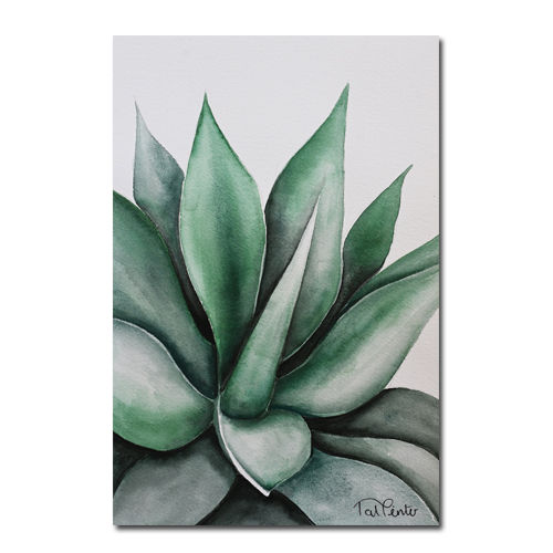 תמונה ממוזערת: גלויות צמחים