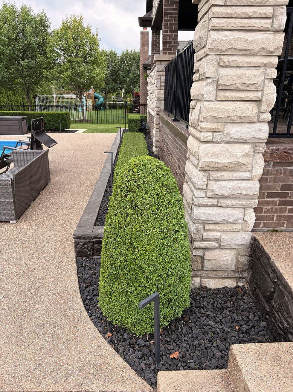 Lawn care & landscaping services for manicured garden beds