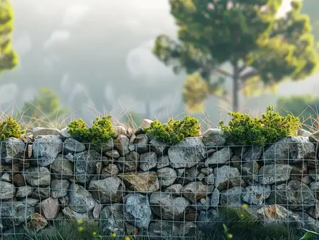 Windbreaks: A Detailed Look