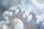 Tools and Software for Creating and Exploring Fractals
