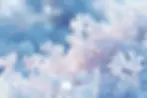 Examples of Fractals in Nature