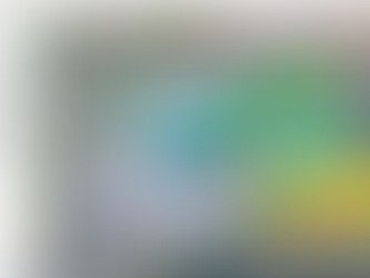 Viewing Your Site Assessment on Google Earth Pro