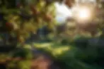 What are Regenerative Agriculture practices? Regenerative Methods