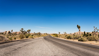 _DSC1450-Edit.jpg