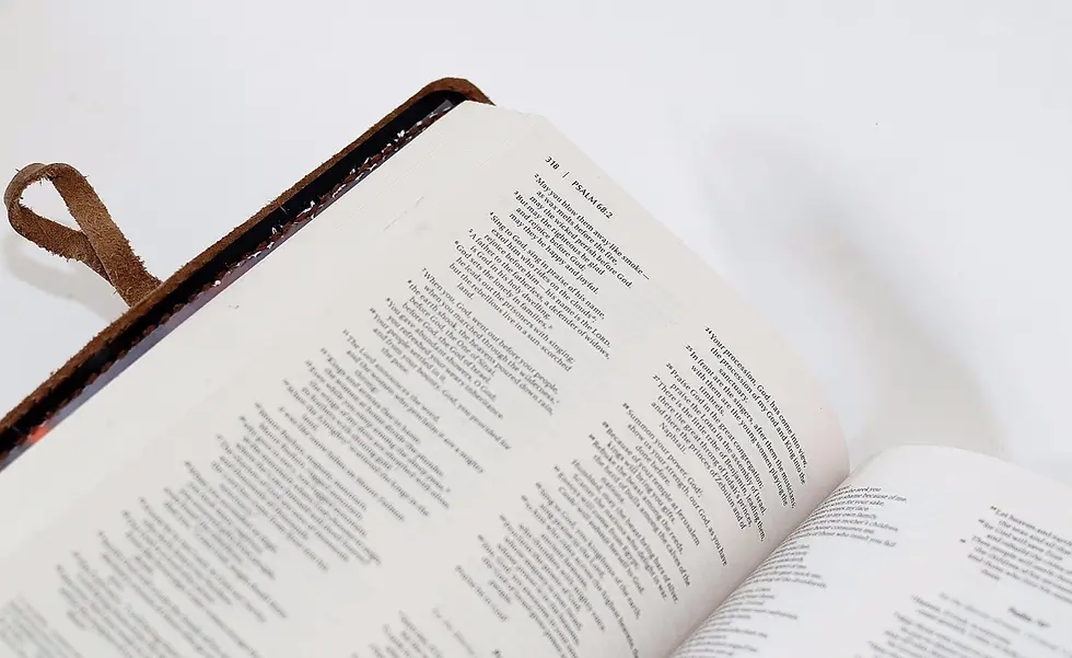 Thumbnail: NIV Leather Bible